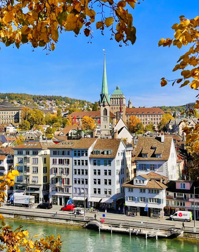 庆南健康科学大学